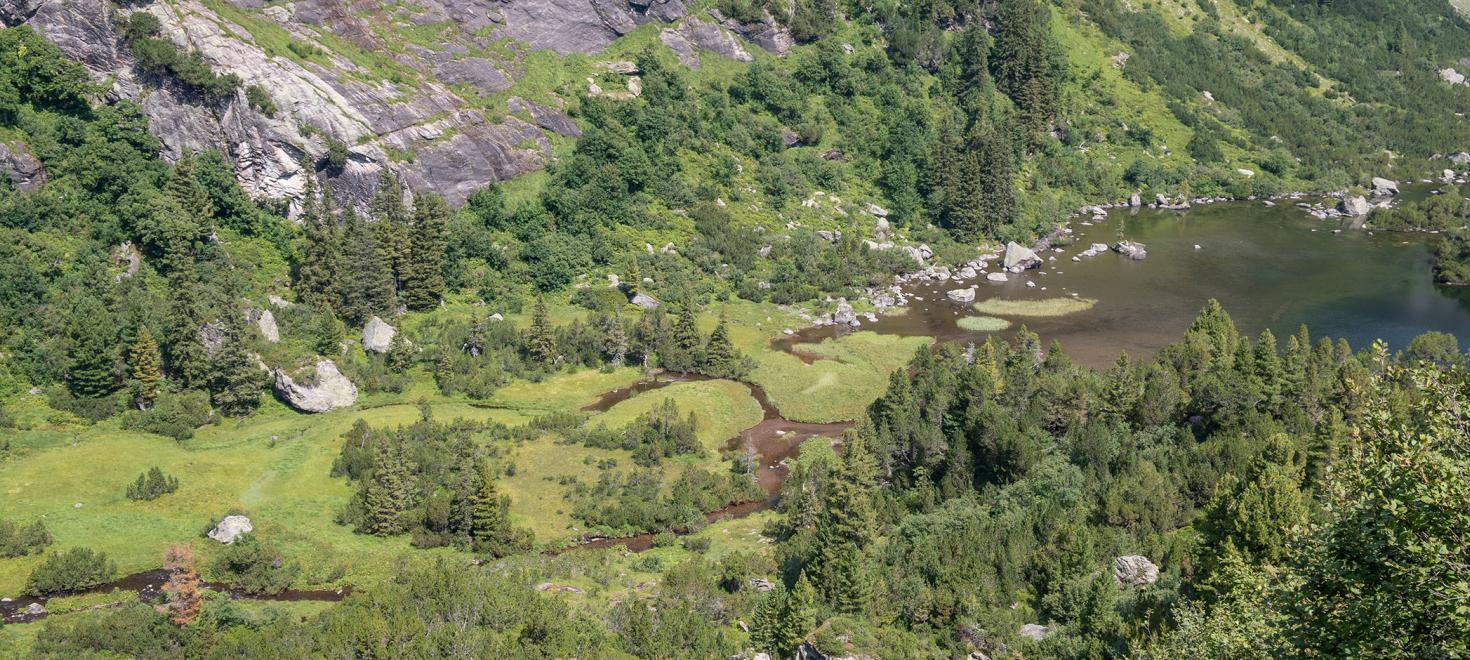 Feuchtgebiet
